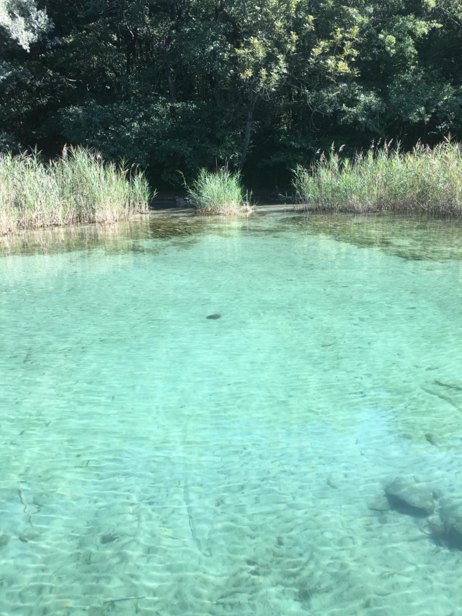 -Ortaflats- Appartamenti Imbarcadero & Palazzotto Orta San Giulio Eksteriør bilde